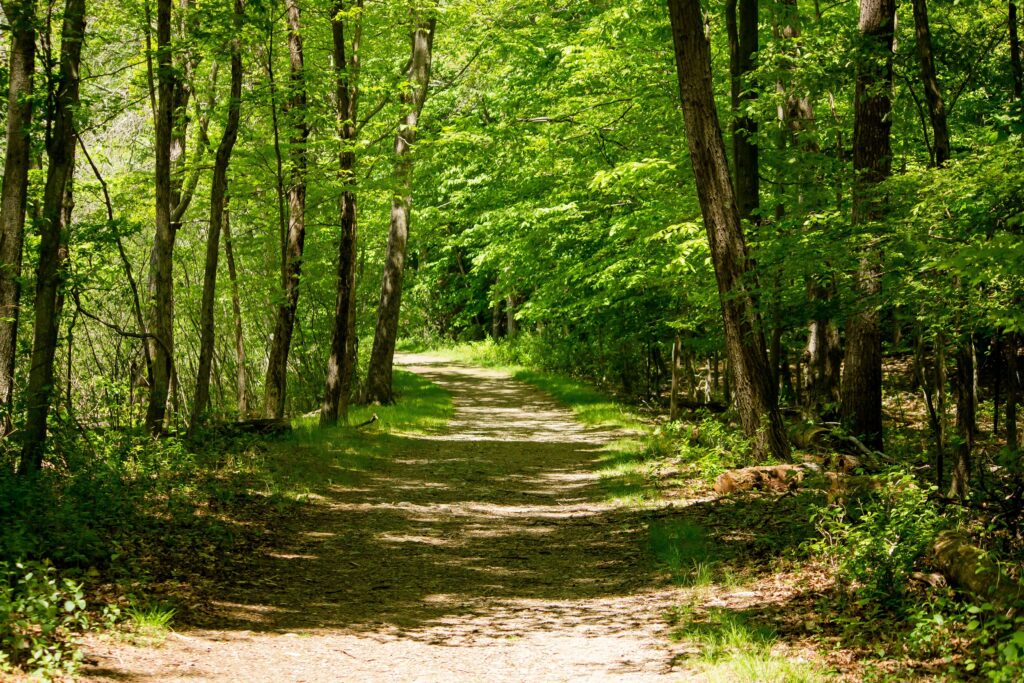 Frequence Nature